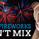 PetsFireworks